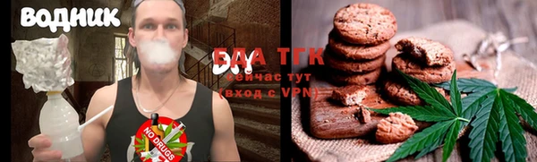 стаф Бородино
