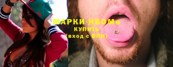 стаф Бородино
