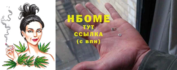 стаф Бородино