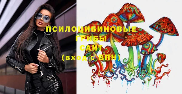 стаф Бородино