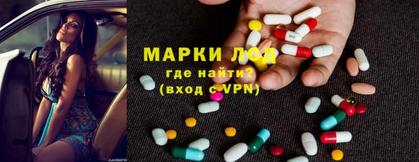 стаф Бородино