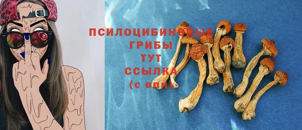 стаф Бородино