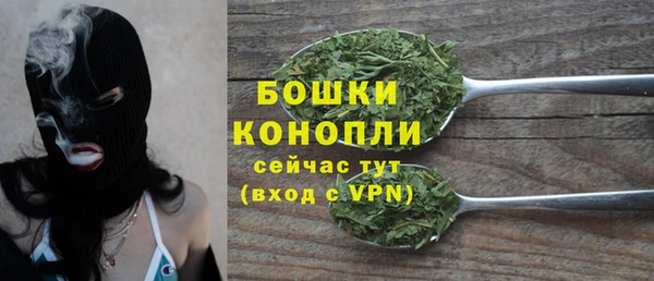 трава Бронницы