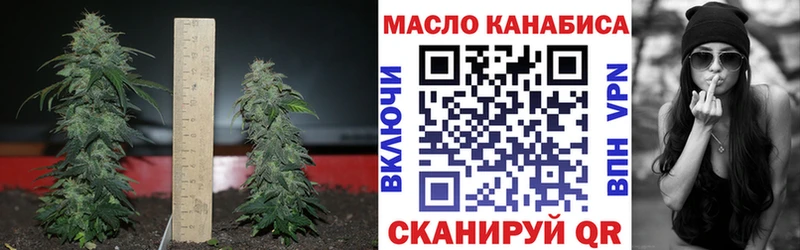 ТГК гашишное масло  где купить наркоту  Великий Новгород 