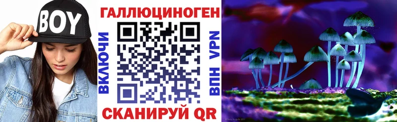 Псилоцибиновые грибы Magic Shrooms  купить наркотики цена  Великий Новгород 