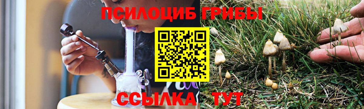 как найти закладки  Великий Новгород  Галлюциногенные грибы MAGIC MUSHROOMS 