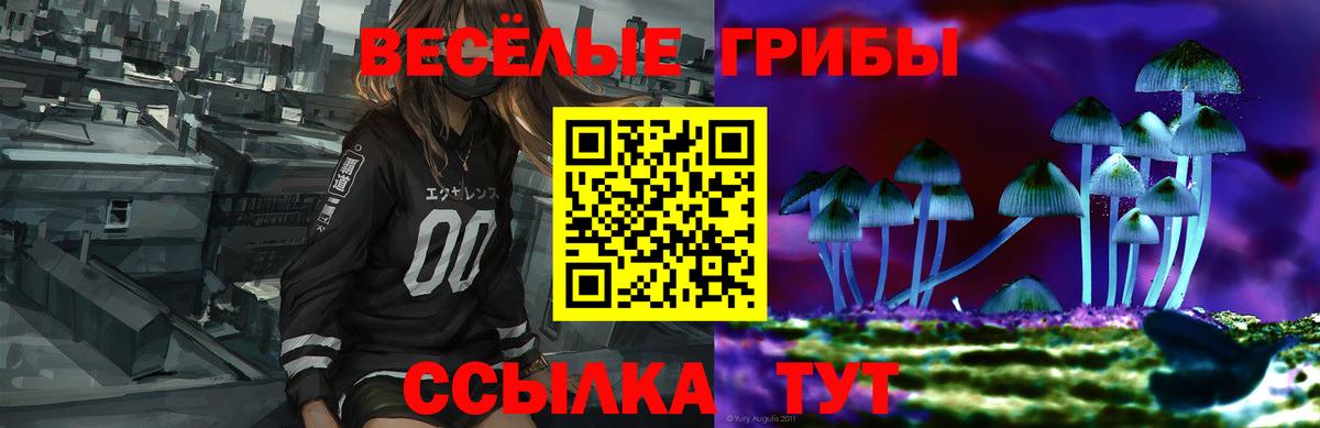 Великий Новгород  Галлюциногенные грибы Psilocybe  Вход с VPN 