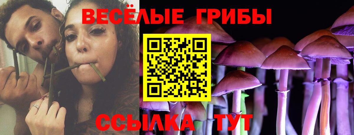 Галлюциногенные грибы прущие грибы Великий Новгород