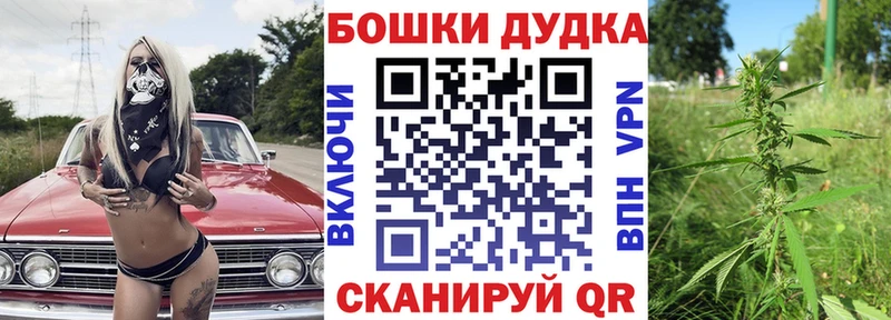 купить наркоту  Великий Новгород  Марихуана план 